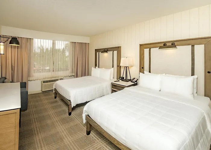 Knott'S Hotel
